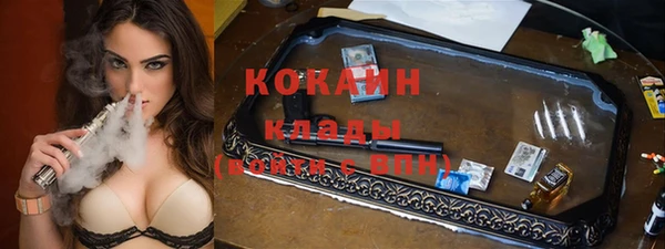 стаф Алексин
