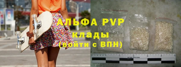 стаф Алексин