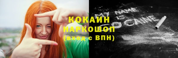 гашик Алексеевка