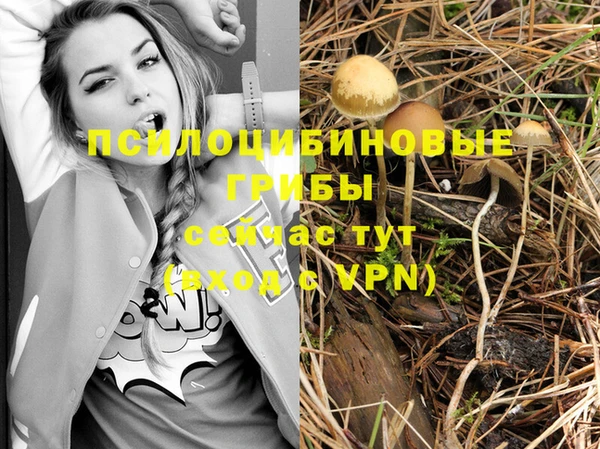кристаллы Алзамай