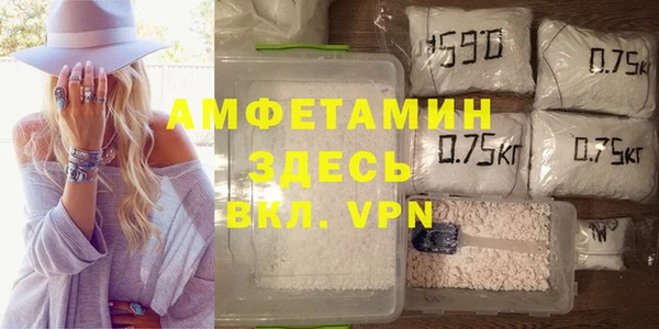 стаф Алексин