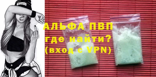стаф Алексин